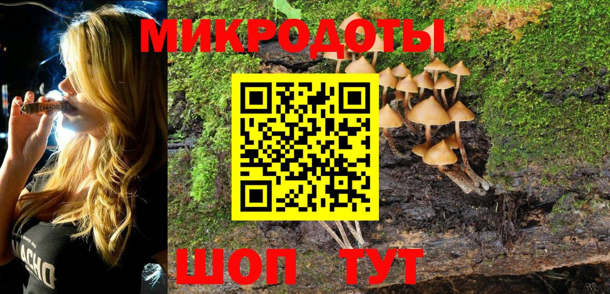 Галлюциногенные грибы Psilocybine cubensis Усть-Джегута
